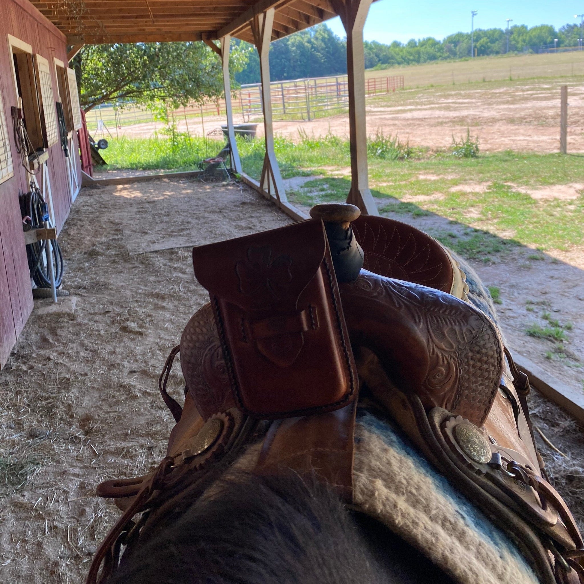 A phone holder attached to a saddle pommel.