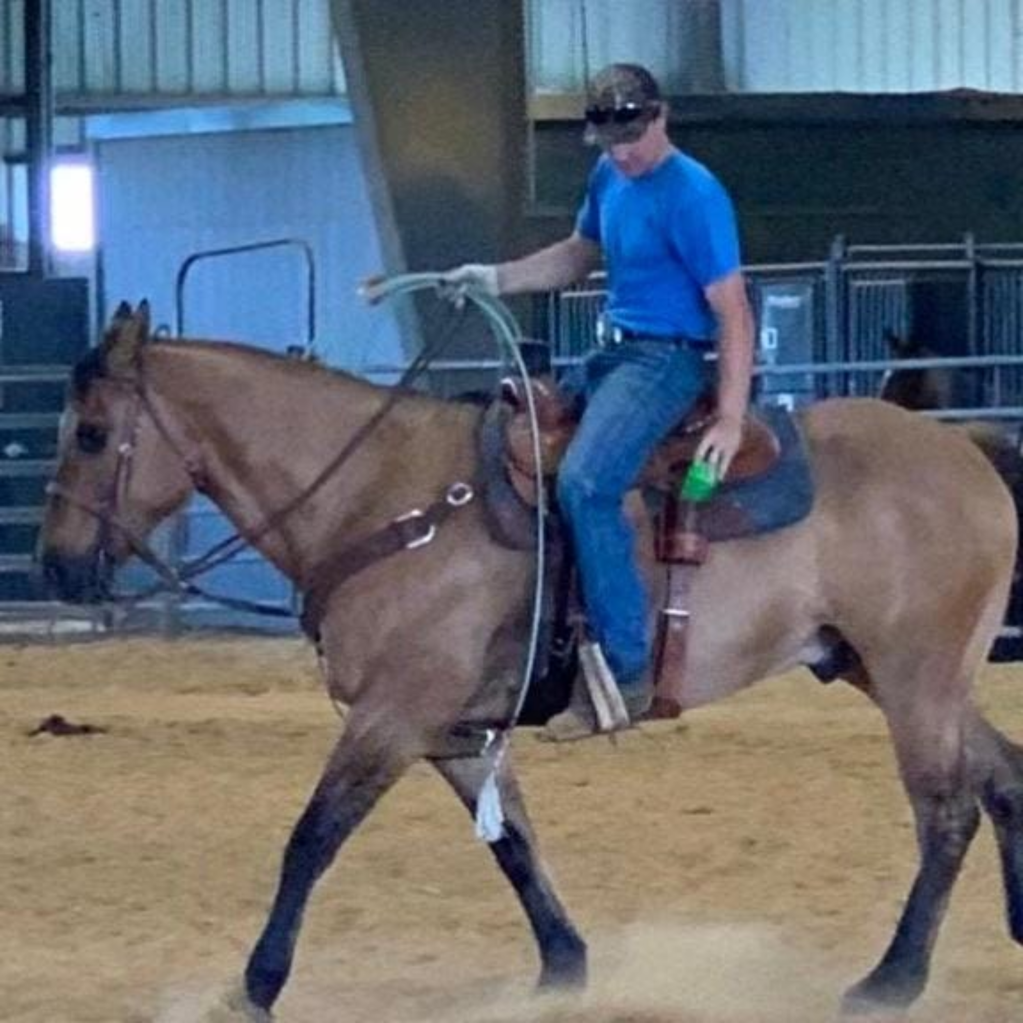 Team roper using an antique tan bottle holder in an arena.