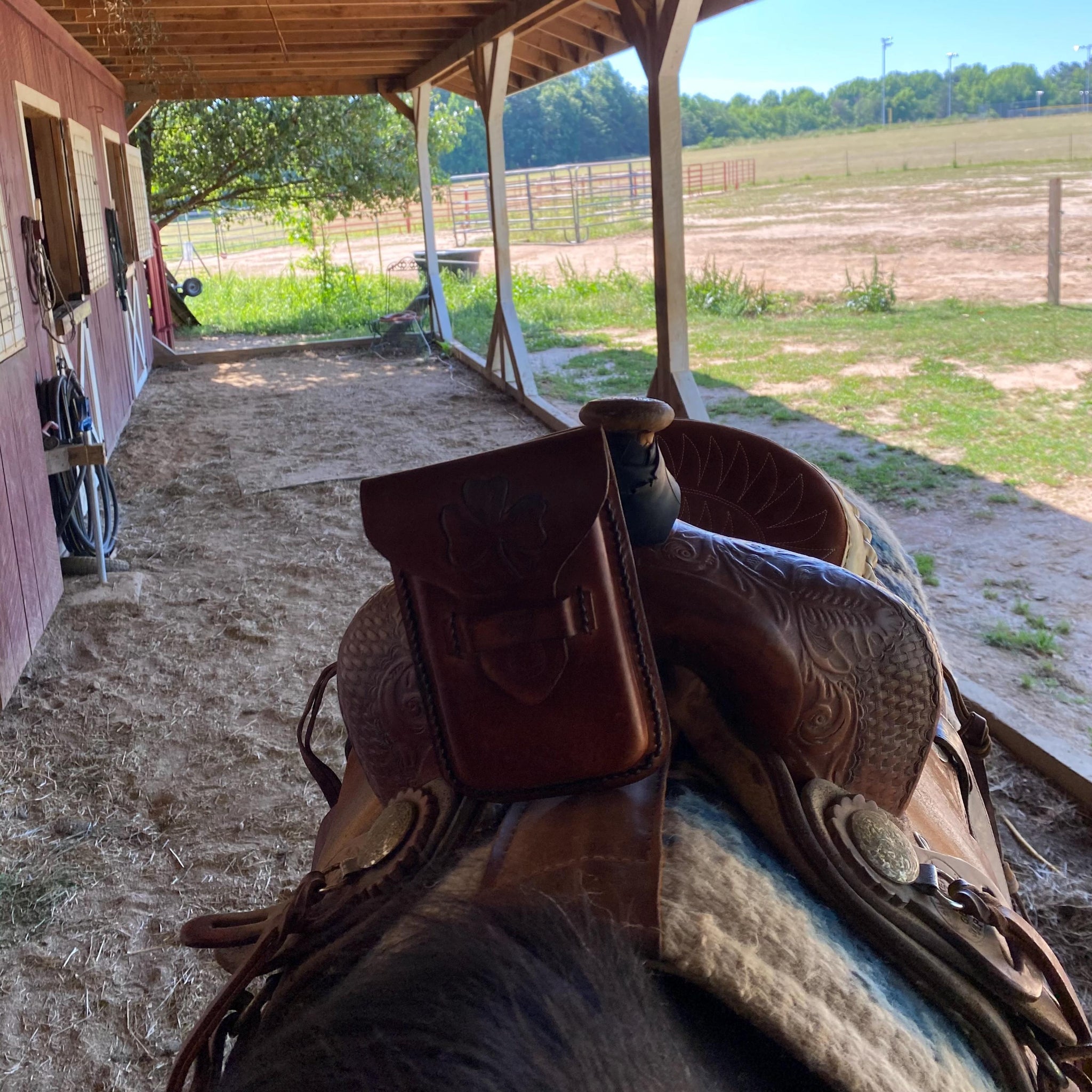 A phone holder attached to a saddle pommel.